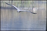 Sigma 70-200 2,8 ex HSM-_mg_7951.jpg