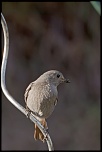 Sigma 70-200 2,8 ex HSM-_mg_3262.jpg