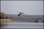 Sigma 70-200 2,8 ex HSM-_mg_7235.jpg