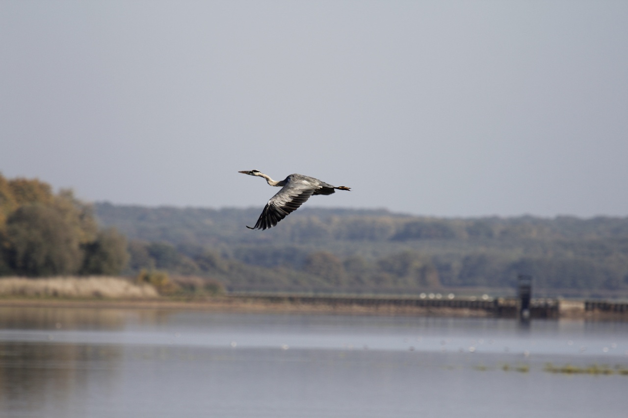 Sigma 70-200 2,8 ex HSM-_mg_7235.jpg