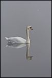 Sigma 70-200 2,8 ex HSM-_mg_7867.jpg
