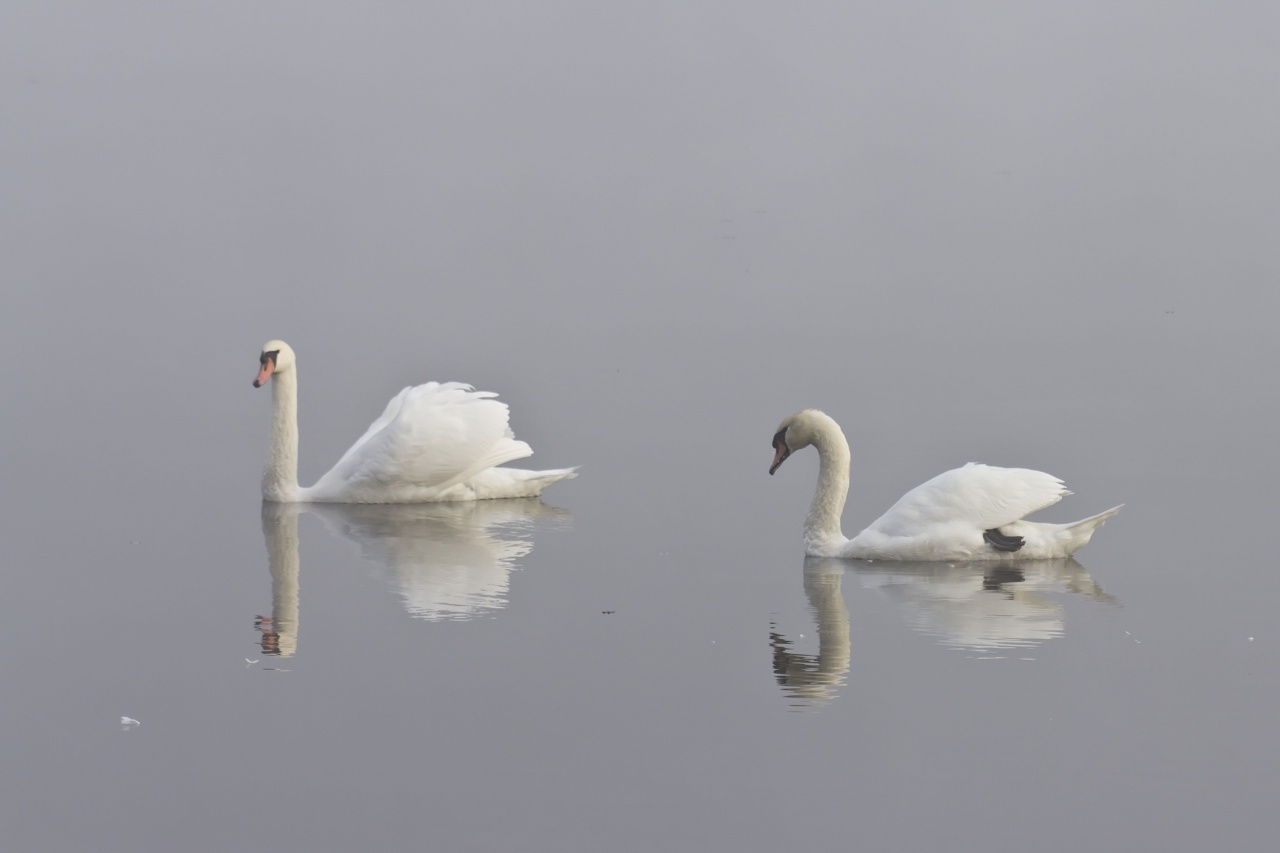 Sigma 70-200 2,8 ex HSM-_mg_7879.jpg