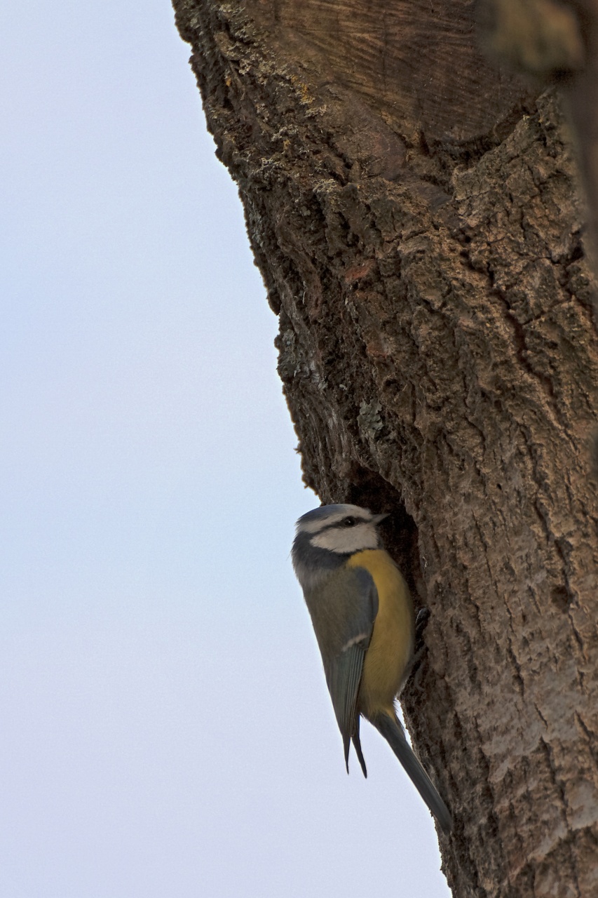 Sigma 70-200 2,8 ex HSM-_mg_7683st_raw.jpg