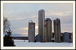 -_mg_8224-naturelimages.com-2.jpg