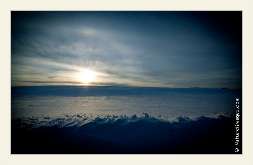 -_mg_7143-naturelimages.com-3.jpg