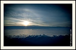 -_mg_7143-naturelimages.com-3.jpg
