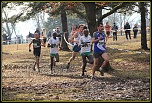 Sigma 70-200 2,8 ex HSM-img_8986-bordermaker.jpg