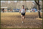 Sigma 70-200 2,8 ex HSM-img_9015-bordermaker.jpg