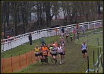 Sigma 70-200 2,8 ex HSM-img_9097-bordermaker.jpg