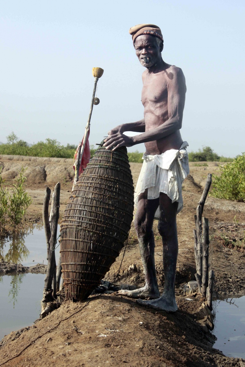 Protection ecran LCD-senegal-469-copie-eos.jpg