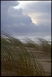 Sigma 70-200 2,8 ex HSM-img_0935.jpg