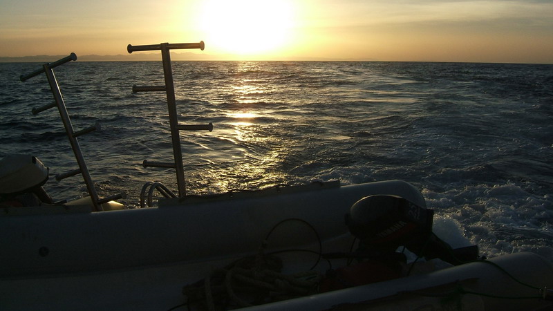 55-200 USM-3287.jpg