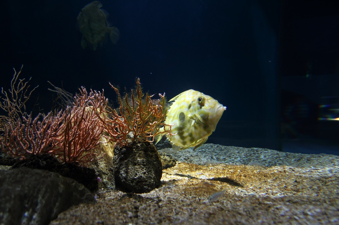 nouveaux membre-img_8013.jpg