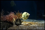 nouveaux membre-img_8013.jpg