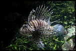 nouveaux membre-img_8191.jpg