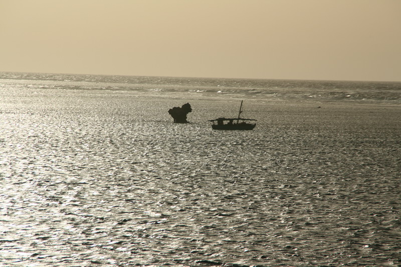 55-200 USM-3289.jpg