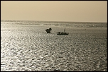 55-200 USM-3289.jpg