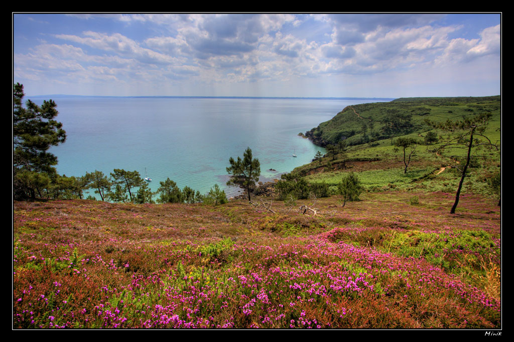 Bruyres sur la route du cap de la chvre