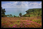 Bruyres sur la route du cap de la chvre