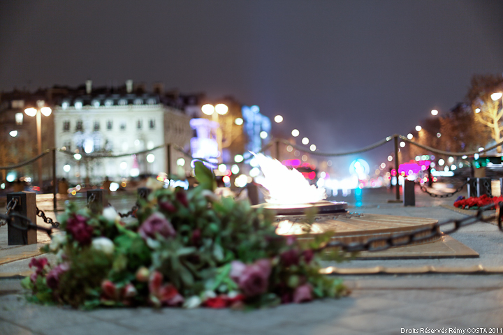 nouveaux membre-20111215_illuminations_de_noel_sur_les_champs-elysees_12.jpg