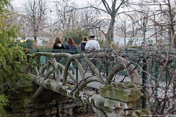 nouveaux membre-20120224_quais_de_seine_14_ld720.jpg