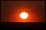 Logiciel DXO-soleil-vert-fevrier-traite.jpg