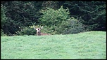 Logiciel DXO-mah01860-3-.jpg