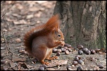 -img_0101.jpg