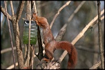 -img_0120.jpg