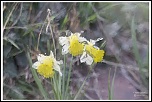 IMG 587014 3