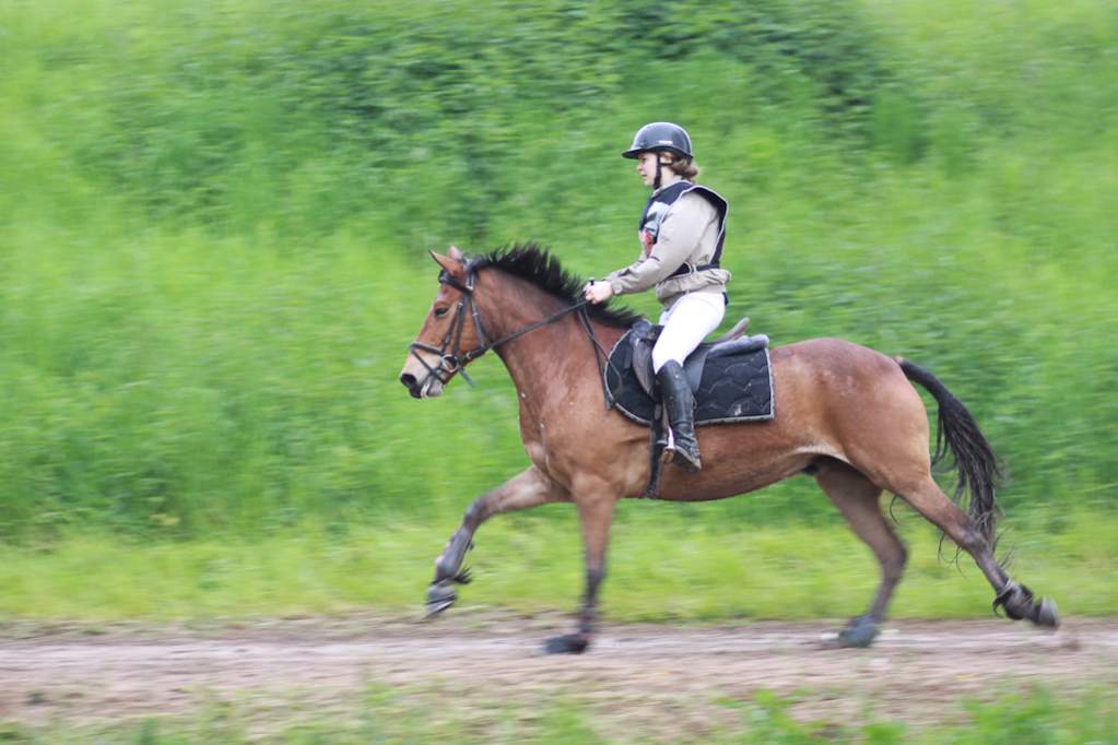 Sandillon