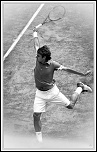 nouveaux membre-222091966.jpg