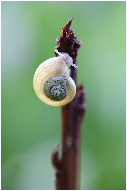 Coupure ce 29 mars-img_3762-2-.jpg