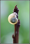 Coupure ce 29 mars-img_3762-2-.jpg