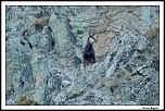 Je l&#39;ai-img_1721-album-bordermaker.jpg