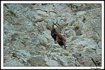 Je l&#39;ai-img_1759-album-bordermaker.jpg