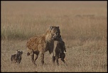 Kenya 2012