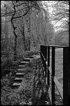 70-300 Sigma APO-img_1560.jpg