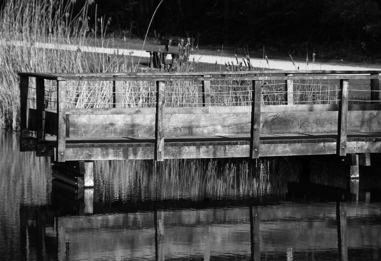 70-300 Sigma APO-img_1569.jpg