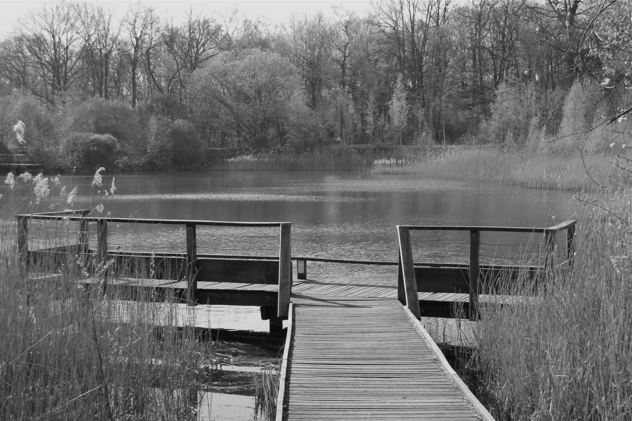 70-300 Sigma APO-img_1582.jpg