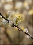 nouveaux membre-img_1556.jpg