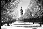 -img_1627v2.jpg
