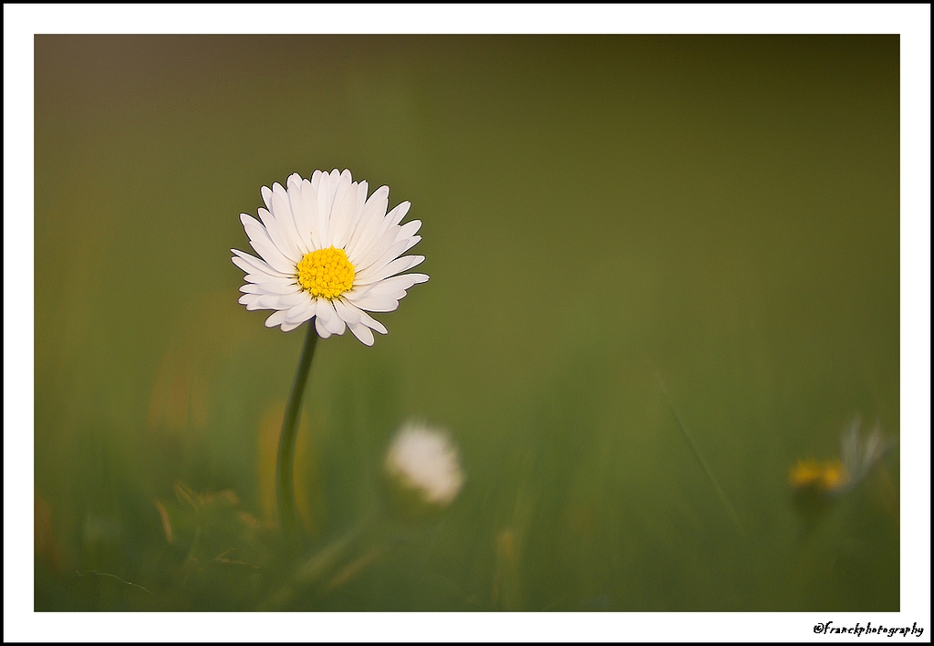 et un nouveau, un &#33;-img_5965.jpg
