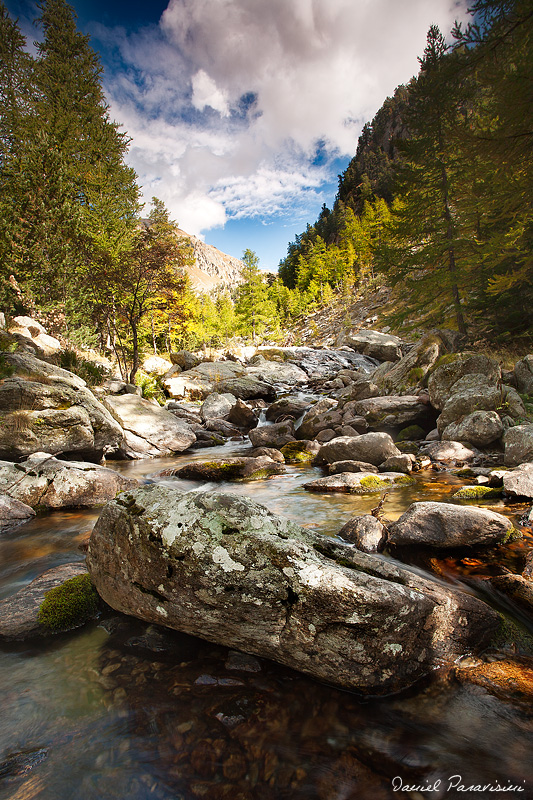 Prmice Automnale (Parc du Mercantour)