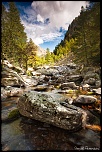 Prmice Automnale (Parc du Mercantour)