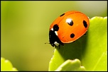 -img_5610_dxo.jpg