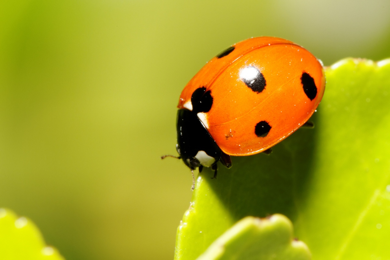 -img_5610_dxo.jpg