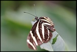 -img_5921_dxo.jpg