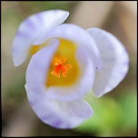 -img_2977_dxo.jpg