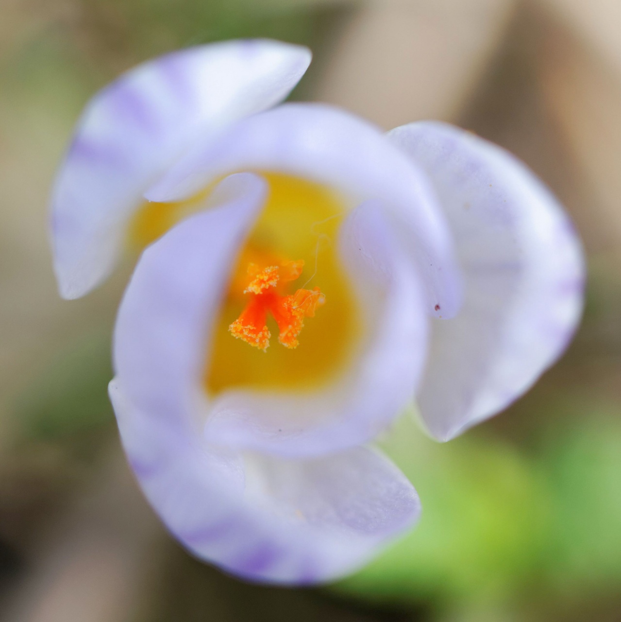 -img_2977_dxo.jpg